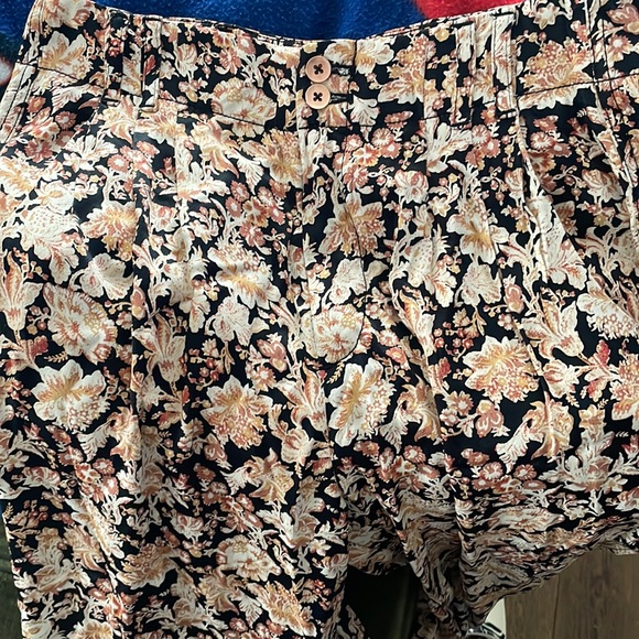 Anthropologie trousers. - Picture 2 of 8